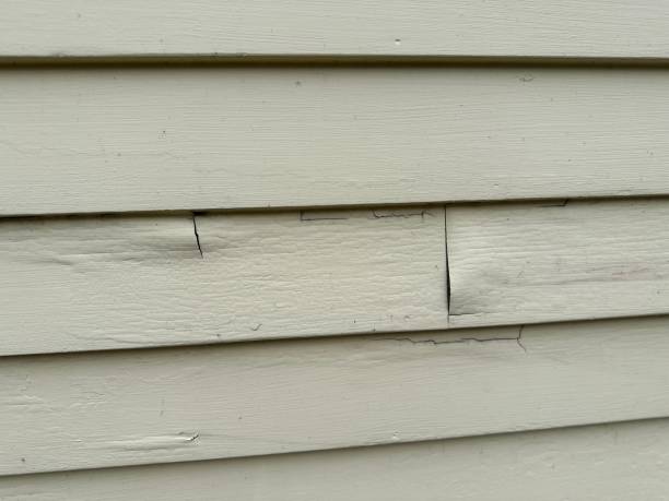 Affordable siding repair and maintenance services in Biggs, CA